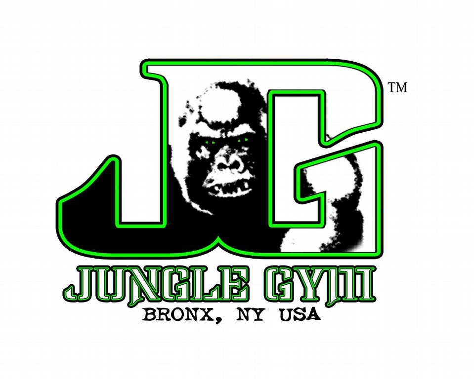 Jungle Gym Martial Arts Bronx NY 10462 7186845138 Martial Arts
